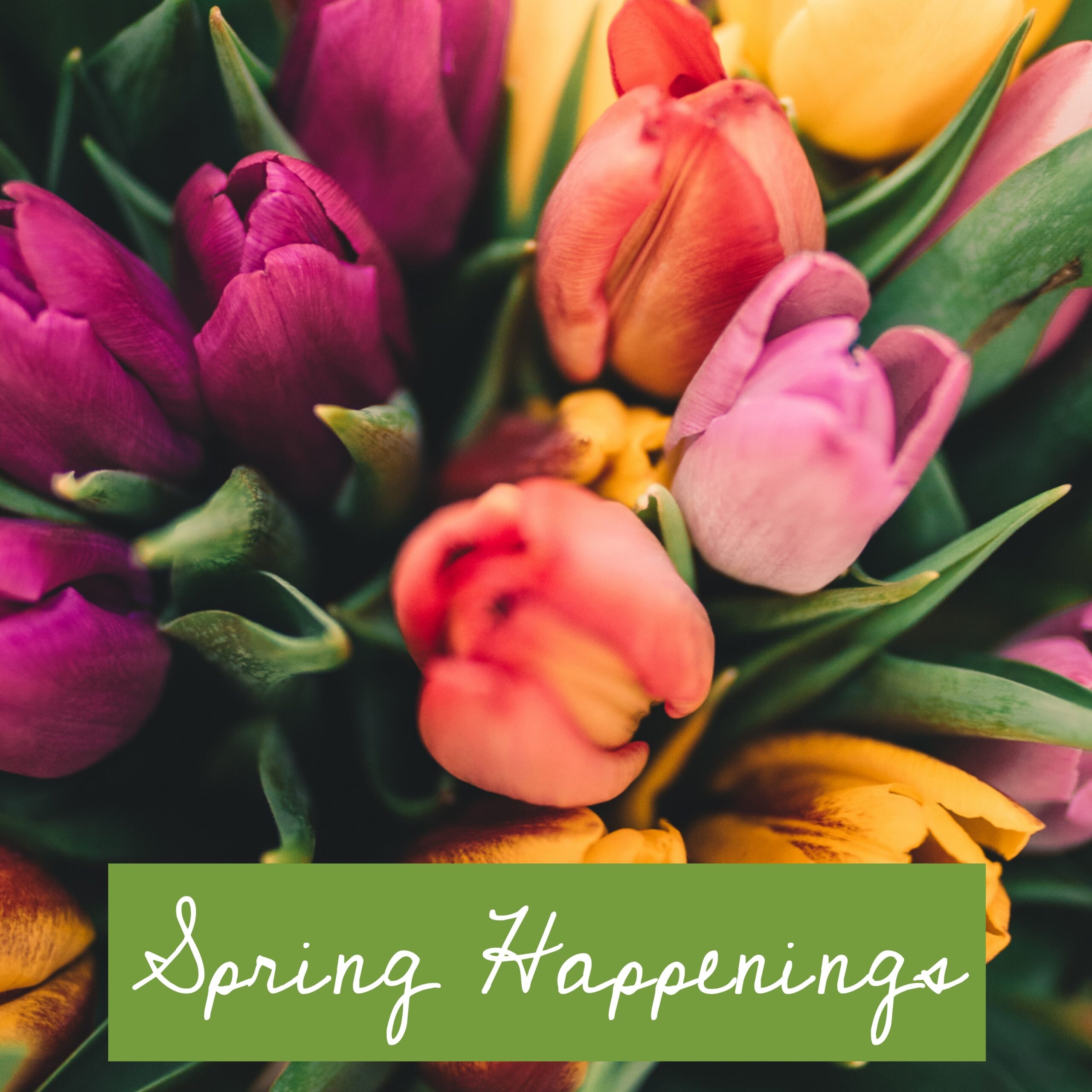 Spring Happenings at Delavan Community Park - Town of Delavan